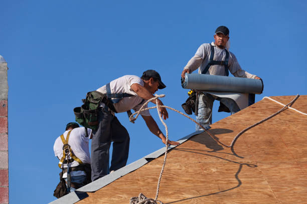 Best Flat Roof Repair Services  in Grover, WY